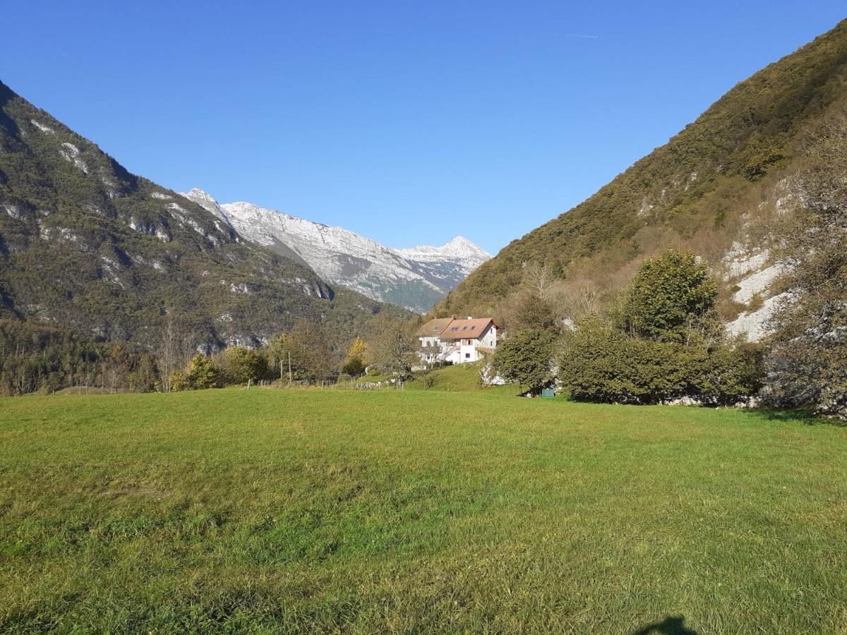 Apartma Ana Ida Srpenica Buitenkant foto