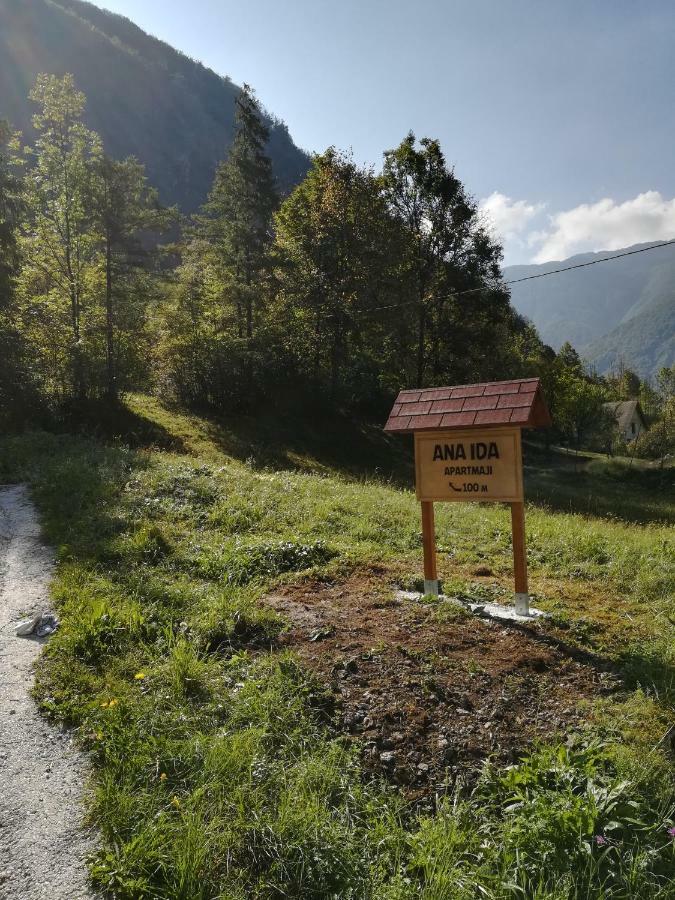 Apartma Ana Ida Srpenica Buitenkant foto