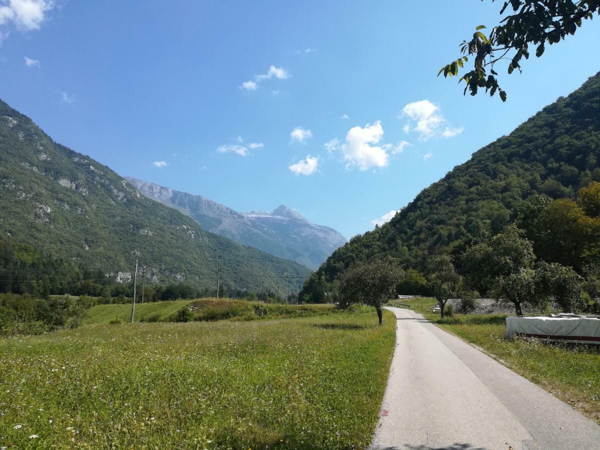 Apartma Ana Ida Srpenica Buitenkant foto