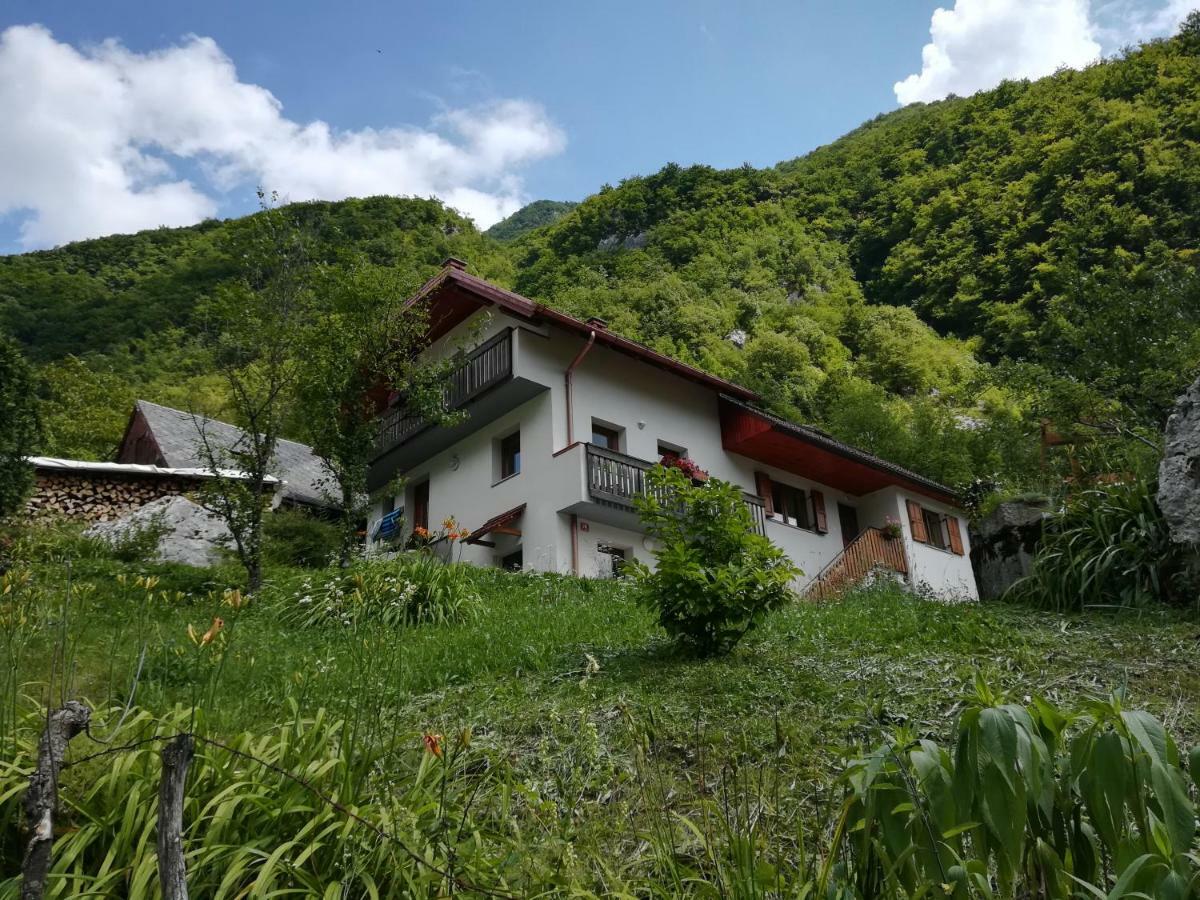Apartma Ana Ida Srpenica Buitenkant foto
